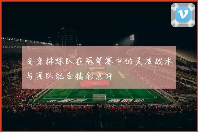 南京排球队在冠军赛中的灵活战术与团队配合精彩点评