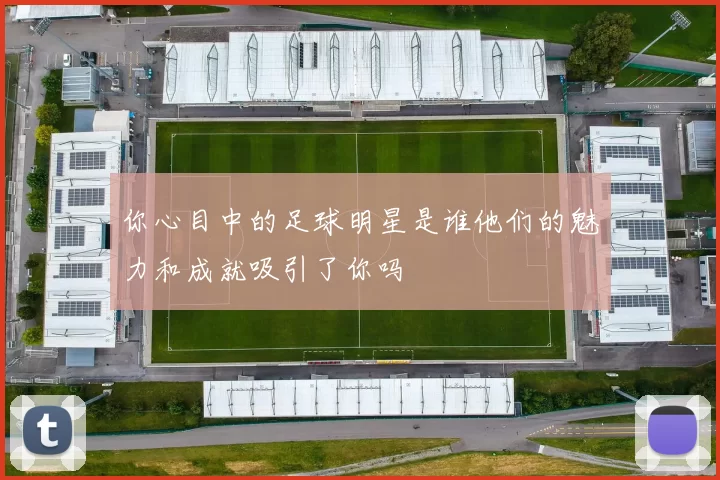 你心目中的足球明星是谁他们的魅力和成就吸引了你吗