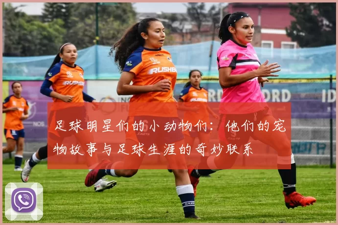 足球明星们的小动物们：他们的宠物故事与足球生涯的奇妙联系
