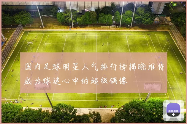 国内足球明星人气排行榜揭晓谁将成为球迷心中的超级偶像