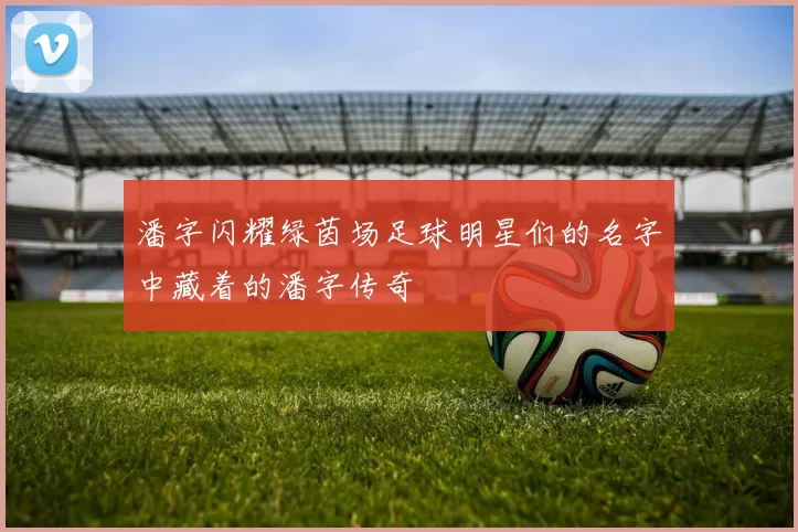 潘字闪耀绿茵场足球明星们的名字中藏着的潘字传奇