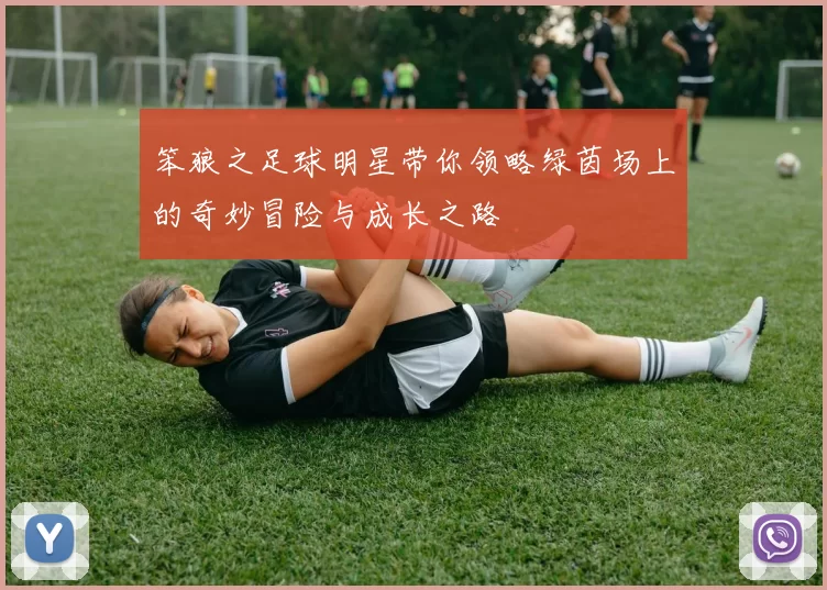 笨狼之足球明星带你领略绿茵场上的奇妙冒险与成长之路