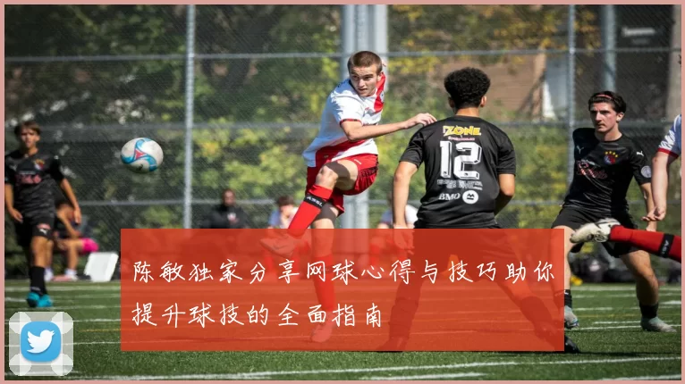 陈敏独家分享网球心得与技巧助你提升球技的全面指南