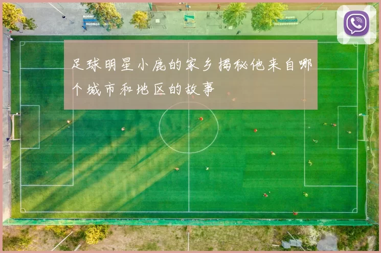足球明星小鹿的家乡揭秘他来自哪个城市和地区的故事