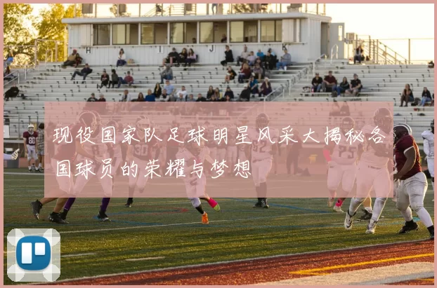现役国家队足球明星风采大揭秘各国球员的荣耀与梦想