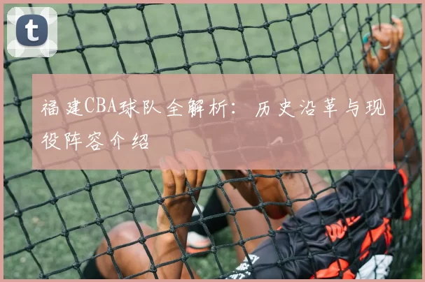 福建CBA球队全解析：历史沿革与现役阵容介绍