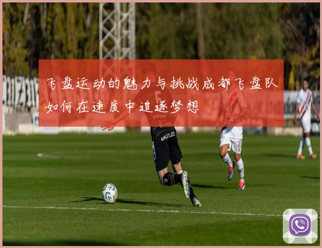 飞盘运动的魅力与挑战成都飞盘队如何在速度中追逐梦想