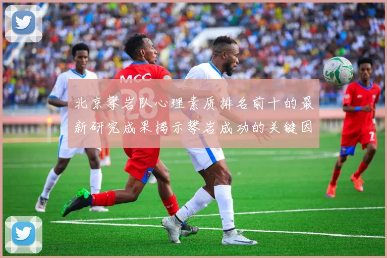 北京攀岩队心理素质排名前十的最新研究成果揭示攀岩成功的关键因素