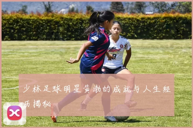 少林足球明星黄渤的成就与人生经历揭秘