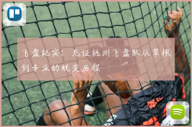飞盘纪实：见证杭州飞盘队从草根到专业的蜕变历程