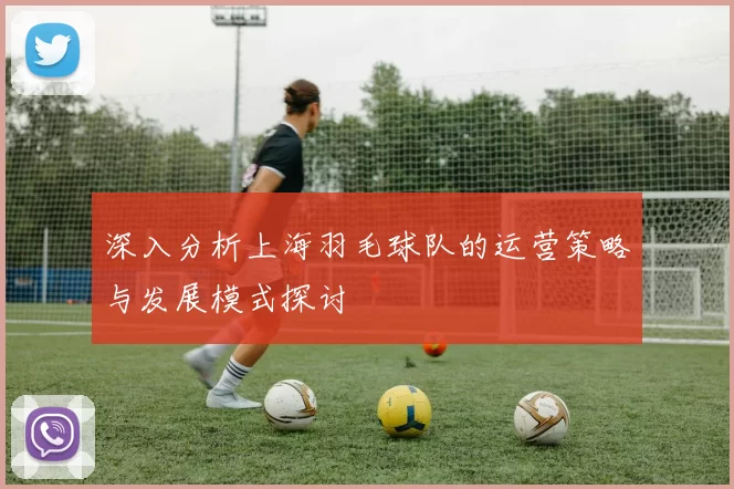 深入分析上海羽毛球队的运营策略与发展模式探讨