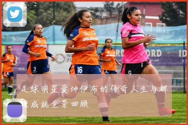 足球明星爱坤伊布的传奇人生与辉煌成就全景回顾