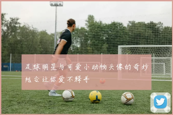 足球明星与可爱小动物头像的奇妙结合让你爱不释手