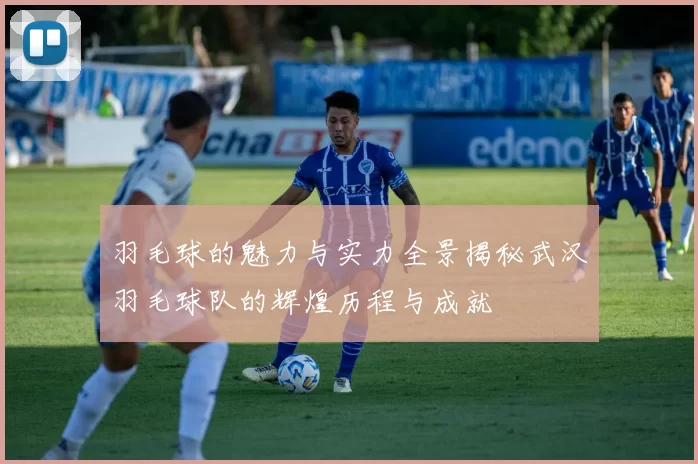 羽毛球的魅力与实力全景揭秘武汉羽毛球队的辉煌历程与成就