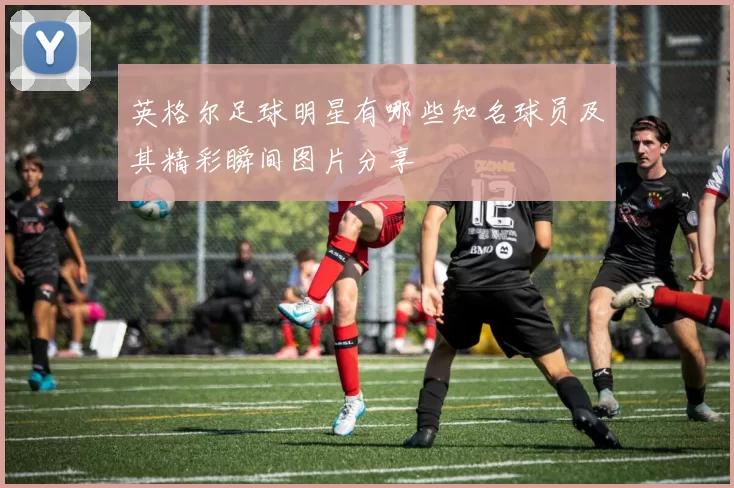 英格尔足球明星有哪些知名球员及其精彩瞬间图片分享