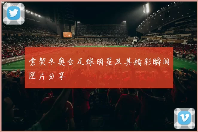 索契冬奥会足球明星及其精彩瞬间图片分享