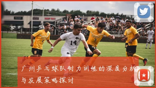 广州乒乓球队耐力训练的深度分析与发展策略探讨