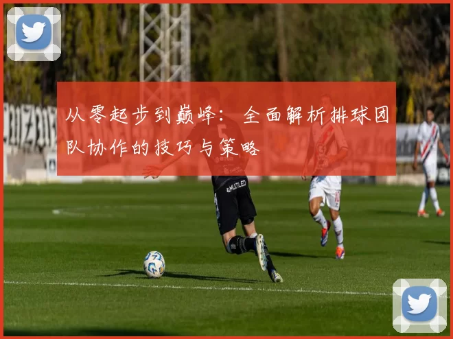 从零起步到巅峰：全面解析排球团队协作的技巧与策略