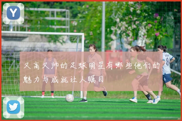 又高又帅的足球明星有哪些他们的魅力与成就让人瞩目