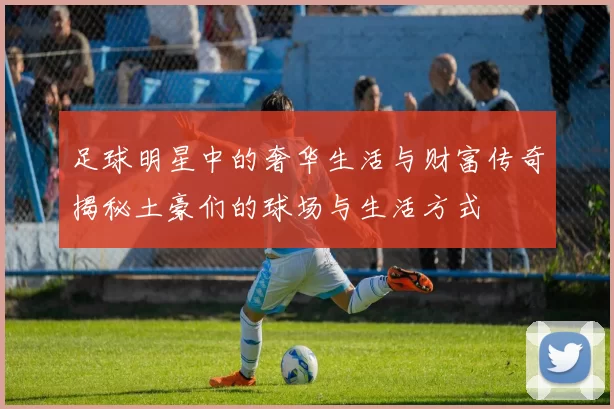 足球明星中的奢华生活与财富传奇揭秘土豪们的球场与生活方式