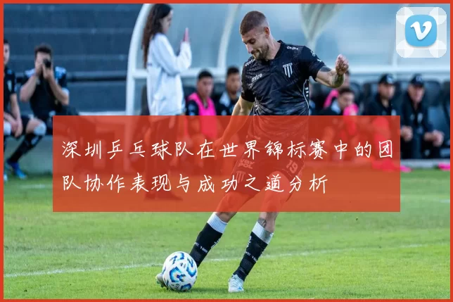 深圳乒乓球队在世界锦标赛中的团队协作表现与成功之道分析