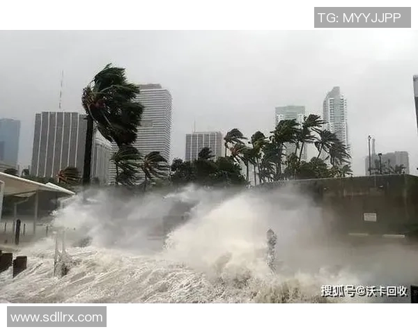 全球气候变化加剧 国际社会呼吁加强合作应对环境危机